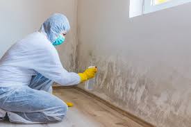 Best Asbestos and Lead Testing During Mold Inspection in Gman, IL